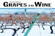 WINTER 2016 - Canadian Grapes To Wine