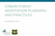 URBAN FOREST ADAPTATION PLANNING AND PRACTICES