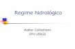 Walter Collischonn IPH UFRGS