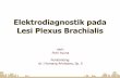 Elektrodiagnostik pada Lesi Plexus Brachialis