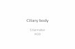 Ciliary body - courseware.cutm.ac.in