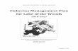 Lake Of The Woods Fisheries Management Plan