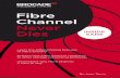 Fibre Channel Never Dies INSIDE SANS - Brocade Event