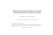 Molecular Characterization of Viruses Causing the Cassava ...
