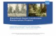 Blackfoot-Swan Landscape Restoration Project
