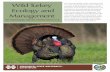 Wild Turkey Ecology and Management