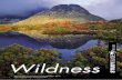 Wildness - National Film and Sound Archive