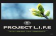 Project Life Booklet (LQ)
