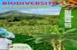 Biodiversité des bananeraies de Martinique. Les araignées