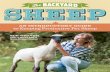 [EPUB]-The Backyard Sheep: An Introductory Guide to Keeping Productive Pet Sheep