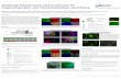 Antibody-based tools and protocols for improving stem cell ...