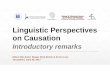 Linguistic Perspectives on Causation