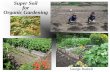 Super Soil for Organic Gardening - National Capital FreeNet