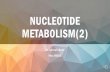 NUCLEOTIDE METABOLISM(2)