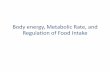 Body energy, Metabolic Rate, and Regulation of Food Intake