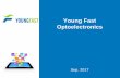 Young Fast Optoelectronics