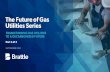 The Future of Gas Utilities Series - Part 2: Evaluating ...