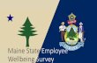 Maine State Employee Wellbeing Survey