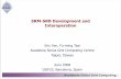 SRM-SRB Development and Interoperation