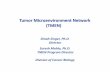 Tumor Microenvironment Consortium