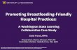 Promoting Breastfeeding-Friendly Hospital Practices