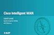 Cisco&Intelligent&WAN& - ISP Konference