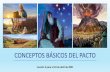 CONCEPTOS BÁSICOS DEL PACTO - Fustero