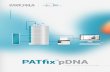 PATfix TM pDNA
