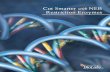 Cut Smarter with NEB Restriction Enzymes