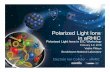 Polarized Light Ions in eRHIC - indico.jlab.org