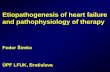 Etiopathogenesis of heart failure and pathophysiology of ...