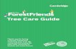 Tree Care Guide - cambridgema.gov