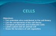 Objectives List scientists who contributed to the cell ...
