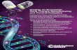 Insights on Successful Gene Therapy Manufacturing and ...