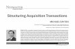 Structuring Acquisition Transactions