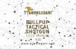 BULLPUP TACTICAL SHOTGUN - ARMELEGANT