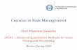 Lecture 2 Copulas in Risk Management