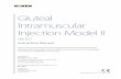 Gluteal Intramuscular Injection Model II