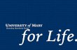 UNIVERSITY MARY Branding Standards Guide for Life