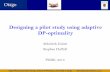 Designing a pilot study using adaptive DP-optimality