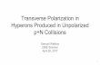 Transverse Polarization in Hyperons Produced in ...