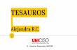 Tesauros - Portal Uniciso
