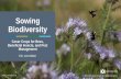 Sowing Biodiversity - SARE