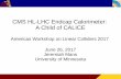 CMS HL-LHC Endcap Calorimeter: A Child of CALICE