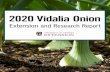 2020 Vidalia Onion