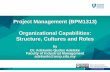Project Management (BPM1313) Organizational Capabilities ...