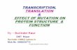 TRANSCRIPTION, TRANSLATION EFFECT OF MUTATION ON …