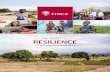 THE ROAD TO RESILIENCE - FINCA International