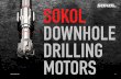 SOKOL ol-motors.com s DOWNHOLE DRILLING MOTORS