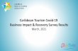 Caribbean Tourism Covid-19 Business Impact & Recovery ...